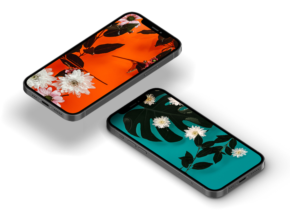 iPhone flower wallpapers