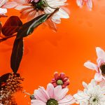 iPhone-wallpaper-flowers-nikki-segers-fotografie
